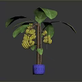 Fresh Ripe Banana and Pineapple with Green Leaves in Blue Pot