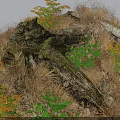 Green Plants And Orange Ferns Growing Around Moss Covered Log With Dry Grass