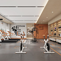 Modern Gym 3d model