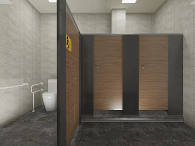 Public Toilet With Modern Wooden Cubicles Metal Frames And Accessible Handrails 3d model