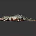 Lifelike Crocodile Figure With Detailed Scaly Skin On Dark Reflective Surface
