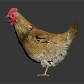 Realistic 3D Model Of Brown Chicken With Red Comb And Spread Wings