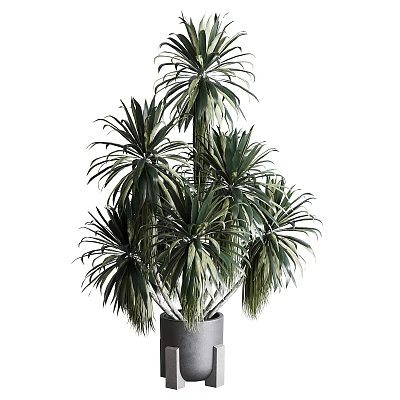 Bonsai Potted Plant With Lush Green Leaves In Decorative Gray Pot 3d model