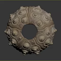 Natural Sea Urchin Shell Featuring Rounded Protrusions And Central Hole 3d model