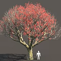 Large Tree With Vibrant Red Leaves Thick Branches And Human Figure Model 3d model