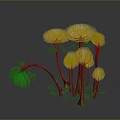Exotic Plants With Brown Stems And White Fluffy Tops Featuring Green Fine Leaves