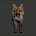 Cute Young Fox 3D Model With Orange Fur And White Chest Standing Pose