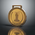 Stylish Football Champion Apparel With Gold Medal Design And Team Logo