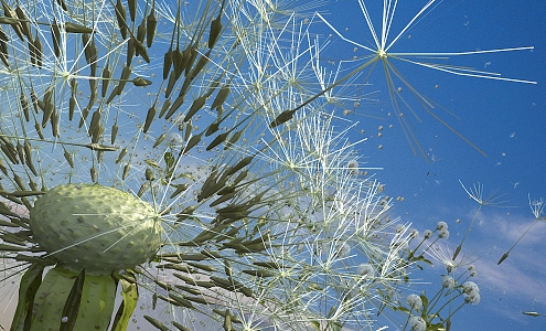 Modern Flower Dandelion Scattered 3d model