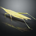 Yellow Grasshopper with Long Legs on Black Background with Clear Reflection 3d model