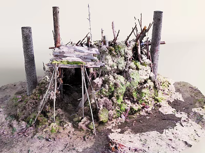 Thatched Hut with Wooden Support Posts and Moss-Covered Roof in Natural Surroundings 3d model