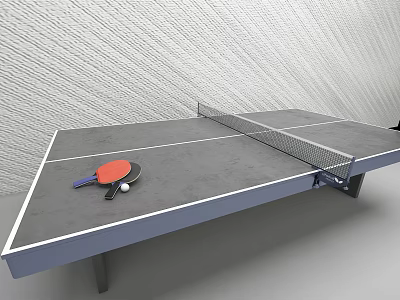 Professional Indoor Table Tennis Table With Net Paddles And Balls For Sports Equipment 3d model