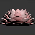 Beautiful Pink Lotus Flower With Soft Layered Petals On Dark Background