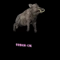 Realistic 3D Wild Boar Model With Skeletal Animation And 42 Frames
