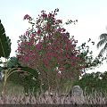 Garden Landscape With Purple Flowering Tree Banana Leaves Palm Tree Green Grass And Blue Sky