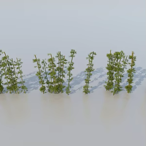 bamboo leaf bamboo 3d model