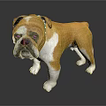 Cute Brown And White Bulldog Doll With Realistic Design Standing For Home Decoration