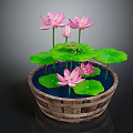 Frog Sitting On Green Lotus Leaf With Pink Flowers In Wooden Bucket