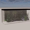 Aquarium Fish Tank With Green Aquatic Plants Decorative Rocks And Swimming Fish