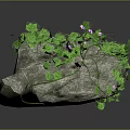 Natural Rock Surface Covered With Lush Green Vines And Purple Flowers