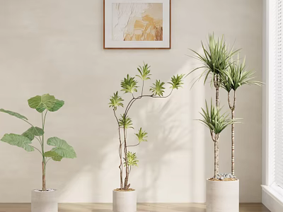 plant green plant potted plant 3d model