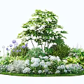 Circular Ground Cover Landscape With Trees Shrubs White And Purple Flowers