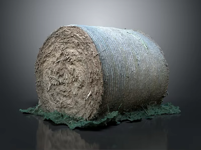 Net Wrapped Hay Bale With Dry Grass And Green Grass Base On Gray Background 3d model