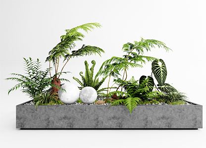 Modern potted combination fern 3d model