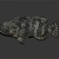Realistic Gray Fish Sculpture With Detailed Texture On Dark Reflective Surface