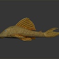 Modern Catfish Freshwater Fish 3d model