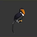 Low Poly Style Toucan with Vibrant Orange Yellow Beak and Dark Body on Gray Background