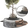 Circular Concrete Tree Planter With Wooden Planks Pebbles And Small Plants Around Tree