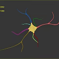 Advanced Medical Device for Neurological Research and Neuron Imaging Applications