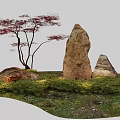 Natural Garden Plant Combination With Red Foliage Tree Stones And Green Grass Low Shrubs