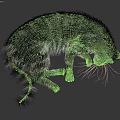 Gray Striped Cat Sleeping Peacefully Shown In Two Comfortable Positions 3d model