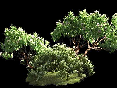 Lush Green Bushes With White Flowers And Dense Foliage On Grassy Base 3d model