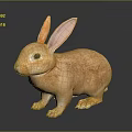 Detailed Tan Rabbit Figurine Standing With Large Ears On Dark Background