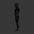 Futuristic Humanoid Robot Character With Intricate Mechanical Body And Outstretched Arms