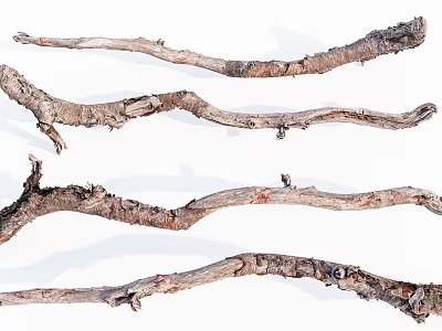 Rustic Wood Branches And Natural Stone For Decorative Design Projects 3d model