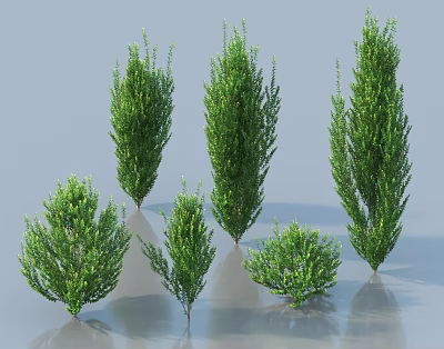 Different Arbor Tree Varieties with Green Foliage and Diverse Heights 3d model