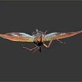 Colorful Insect With Vibrant Transparent Wings And Blue Orange Body Patterns On Dark Background