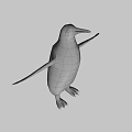Emperor Penguin With Yellow Neck Black White Plumage And Spread Wings