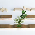 Modern Outdoor Chairs With Wavy Design And Potted Green Plants