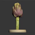 Fresh Purple and Green Artichoke Vegetable Displayed On Wooden Base Against Dark Background