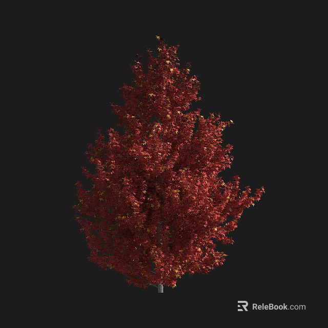 Elegant Tall Tree With Vibrant Red Leaves And Lush Autumn Foliage 3d model 