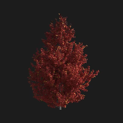 Elegant Tall Tree With Vibrant Red Leaves And Lush Autumn Foliage 3d model