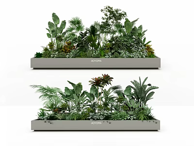 Two Modern Rectangular Planters Filled With Lush Green Tropical Plants And Foliage 3d model