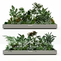 Two Modern Rectangular Planters Filled With Lush Green Tropical Plants And Foliage