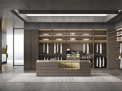 Sleek Modern Walk-in Closet Interior With Hanging Clothes Cabinets Countertop And Shelves 3d model