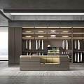 Sleek Modern Walk-in Closet Interior With Hanging Clothes Cabinets Countertop And Shelves